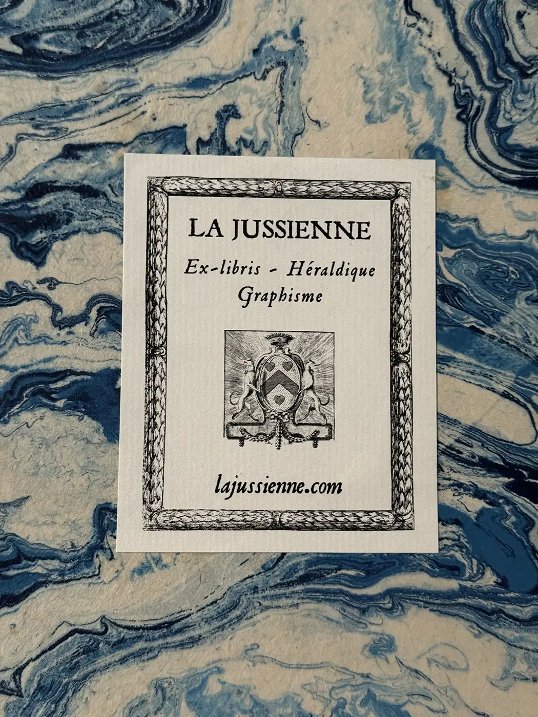 Armes de France et de Navarre sous Louis XIII
